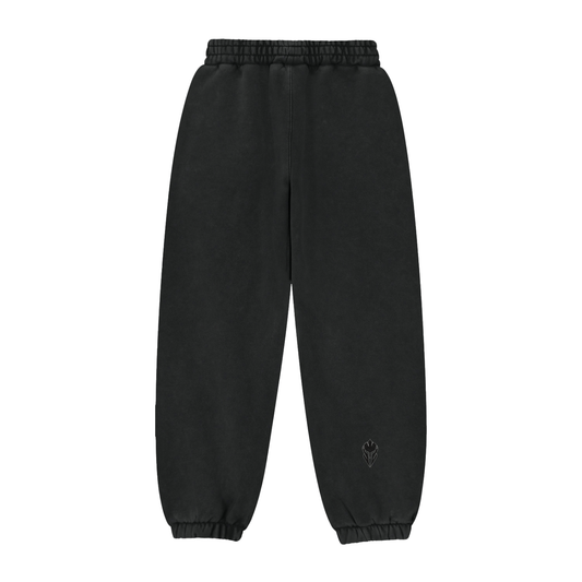 RVLT Fleeced Joggers- ACID